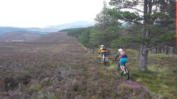 Mountain Biking