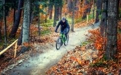 Cycling