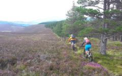 Mountain Biking Mountain Biking