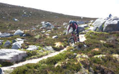 Mountain Biking Mountain Biking