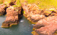 Coasteering