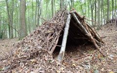 Bushcraft