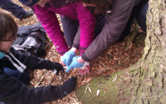 First Aid First Aid