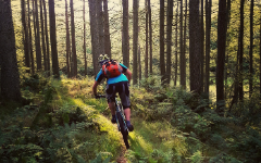 Mountain Biking Mountain Biking