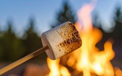 Cooking marshmallows over campfire