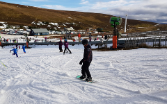 Alpine Snowboarding