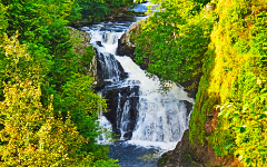 Reekie Linn