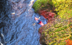 River Esk