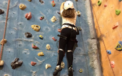 Indoor Climbing