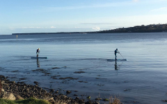 Stand Up Paddleboarding